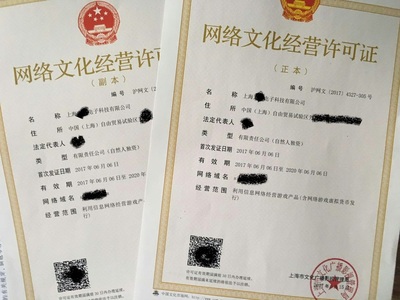 上海網(wǎng)絡(luò)文化經(jīng)營(yíng)許可證辦理全攻略 條件、流程與注意事項(xiàng)